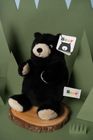 Plush Bear Toys