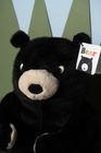 Plush Bear Toys