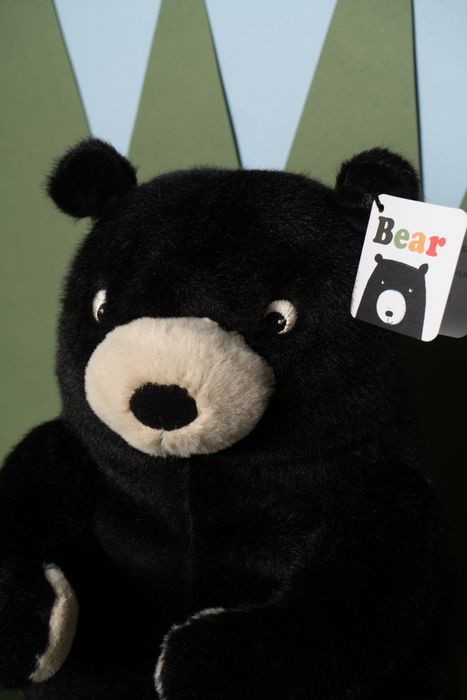 Plush Bear Toys