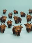 Paper Highland Cows
