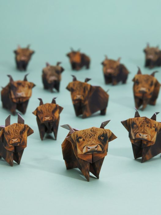 Paper Highland Cows