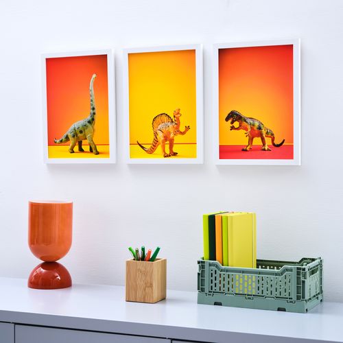 Dinosaur photo art prints