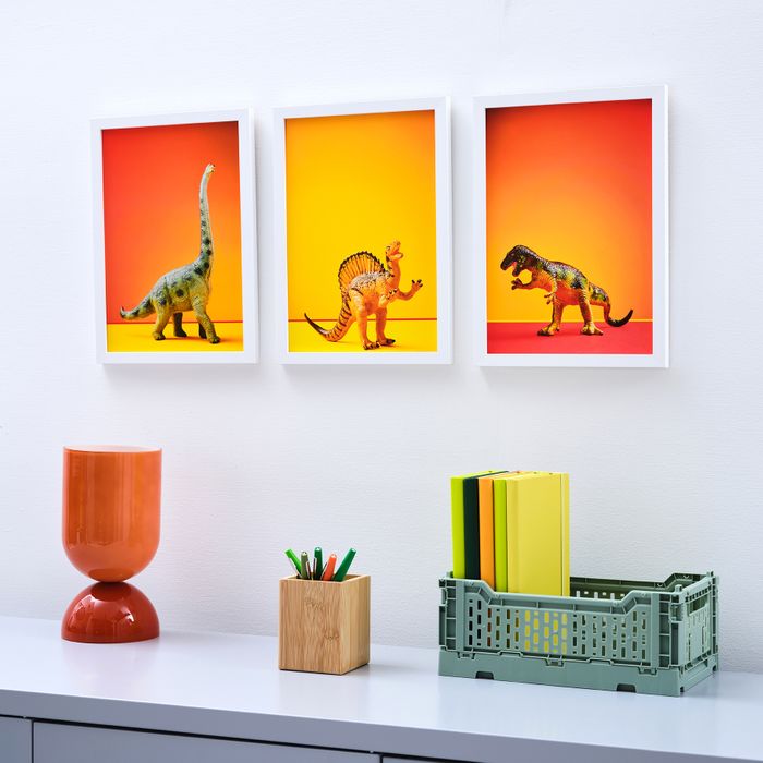 Dinosaur photo art prints