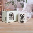 Licks & Kisses Giftware Range