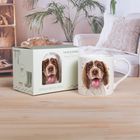 Licks & Kisses Giftware Range