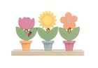 Spring Garden