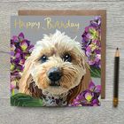 Pets - Foiled and blank