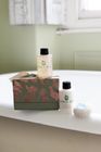 Scots Pine Luxury Small Gift Set