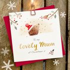 NEW COLLECTION - Owls Nest Christmas