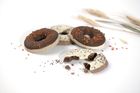 Dog Doughnuts