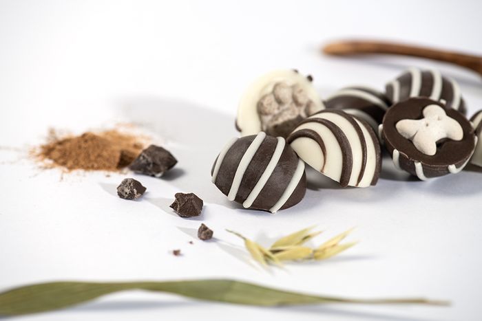Terrier Truffles