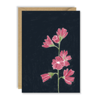 Flower Cards - Blank