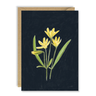Flower Cards - Blank