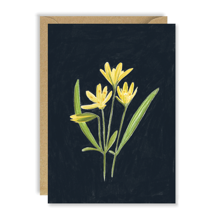 Flower Cards - Blank