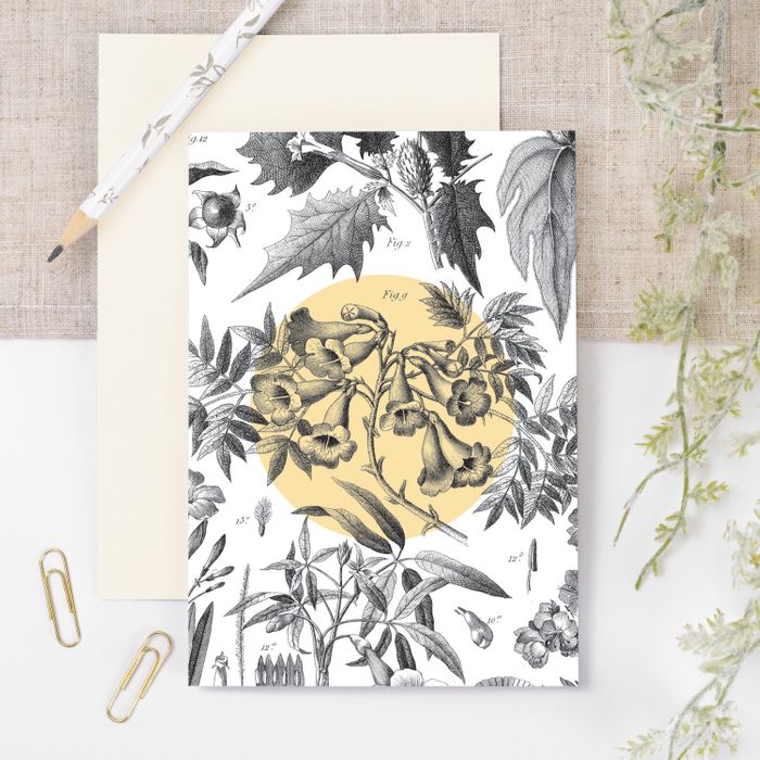 `Botanicals` 🌸 Card & Print Range