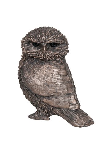 Olly - Little Owl