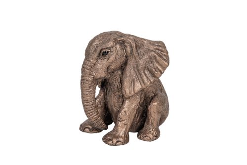 Jumbo - Playful Baby Elephant