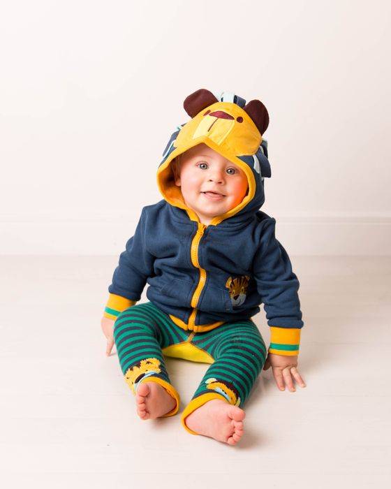 Frankie the Lion Collection