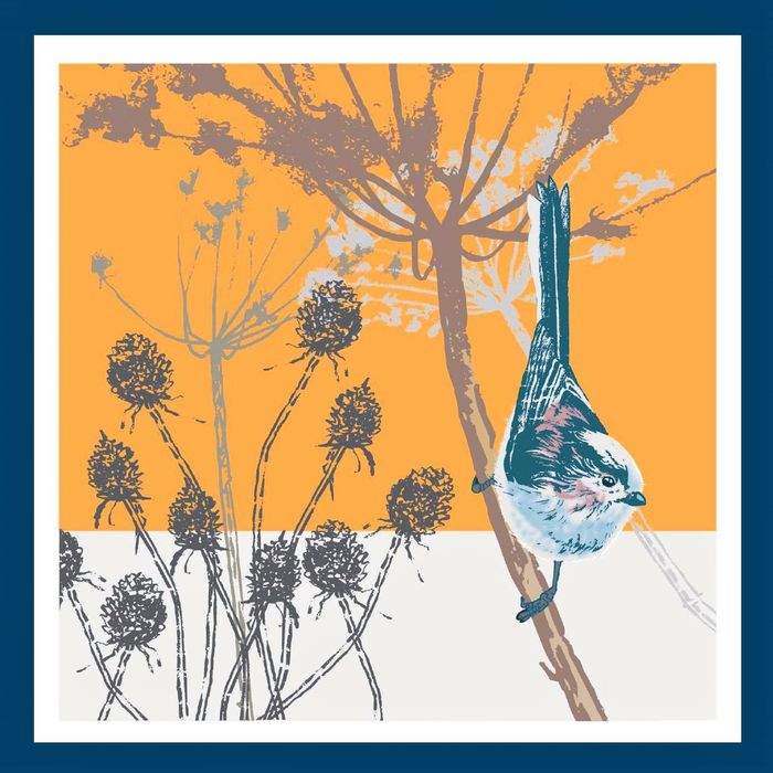 Songbirds & Seedheads Greetings Card Range