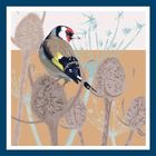 Songbirds & Seedheads Greetings Card Range