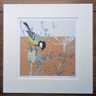 Songbirds Giclee Print Range
