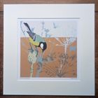 Songbirds Giclee Print Range