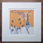 Songbirds Giclee Print Range