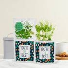 You're the Best card and gift -  Greens & Greetings