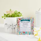 Whimsical Wildflower Wishes - wildflower seed gift
