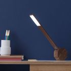 Gingko Octagon One Desk Lamp