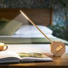 Gingko Octagon One Plus Desk Lamp