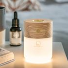 Gingko Smart Diffuser Lamp