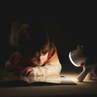 Kidylamp Rechargeable Dog Bedside Lamp