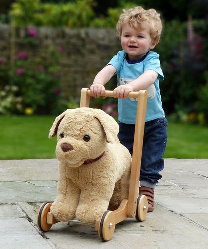 Baby Walkers/Push Along Toys