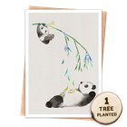 Pandas - Reiwa