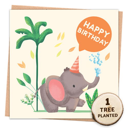 Elephant Birthday - Little Critters
