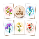 Halo Flower Pack of 5 Cards