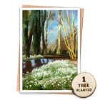 Snowdrops - Great British Landscapes