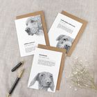 `Pooch` 🐶 Card & Gift Range