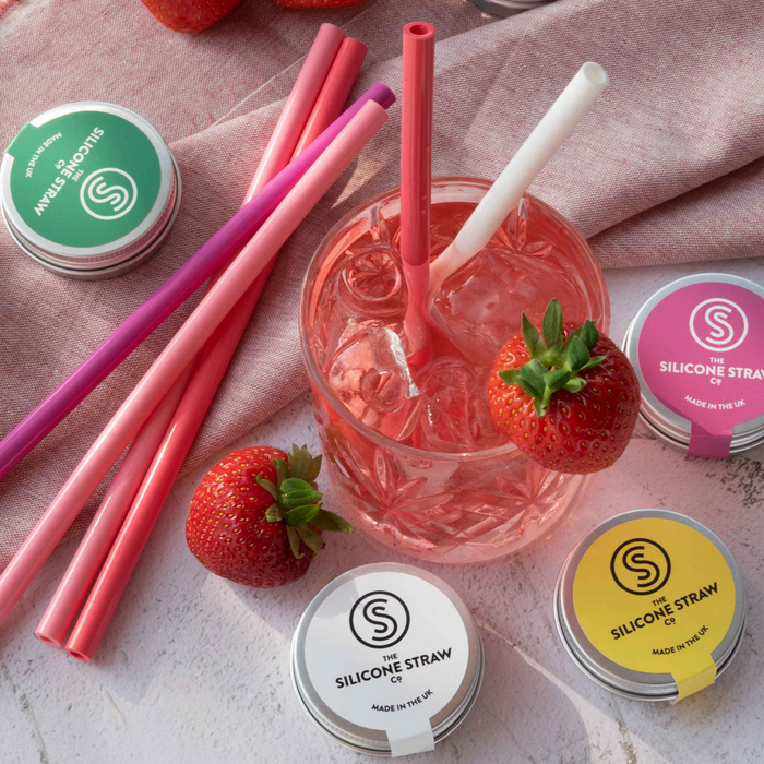 Reusable Silicone Straws in Travel Tins