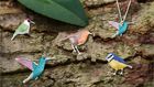 Bird Jewellery