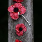 Poppy & Remembrance Jewellery & Scarves