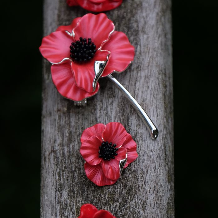 Remembrance poppy jewellery discount