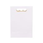 Emartbuy Strong Paper Stand Up Gift Bag, 26 cm x 19 cm x 9 cm, White Kraft Bag with Clear Window and Bow