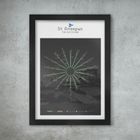 St.Andrews Old Course - Golf Poster Print