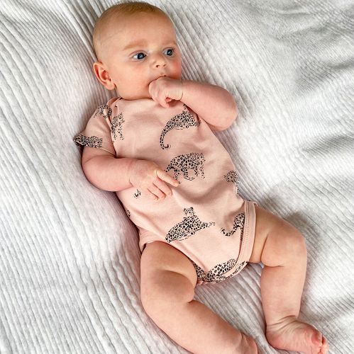 Baby Bodysuits Organic Cotton