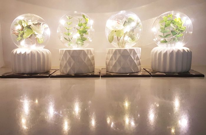 The Plant Lamps