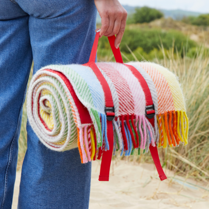 Luxury Picnic Rugs and Outdoor Accessories