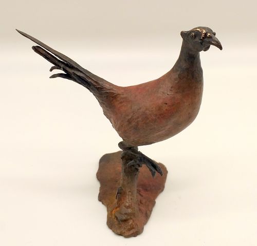 Bronze Pheasant
