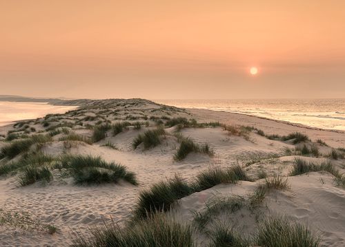 Sand Dune Sunset greeting card